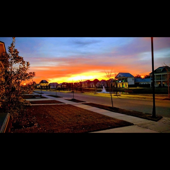 Meet your Posher, Nancy - Picture 1 of 1